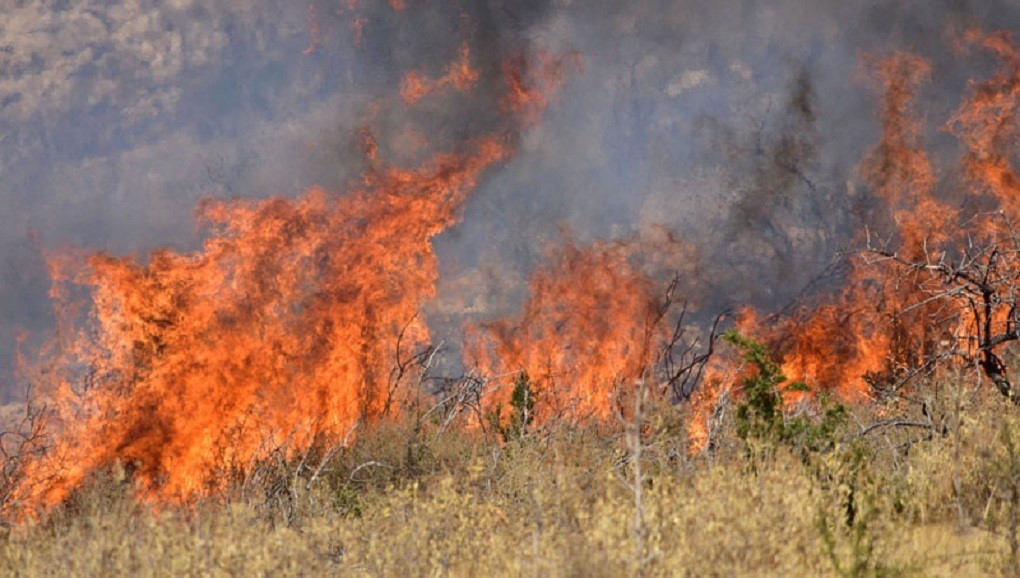 Πυρκαγιά σε ξερά χόρτα στην Ε.Ο. Αμπελώνα-Δελερίων